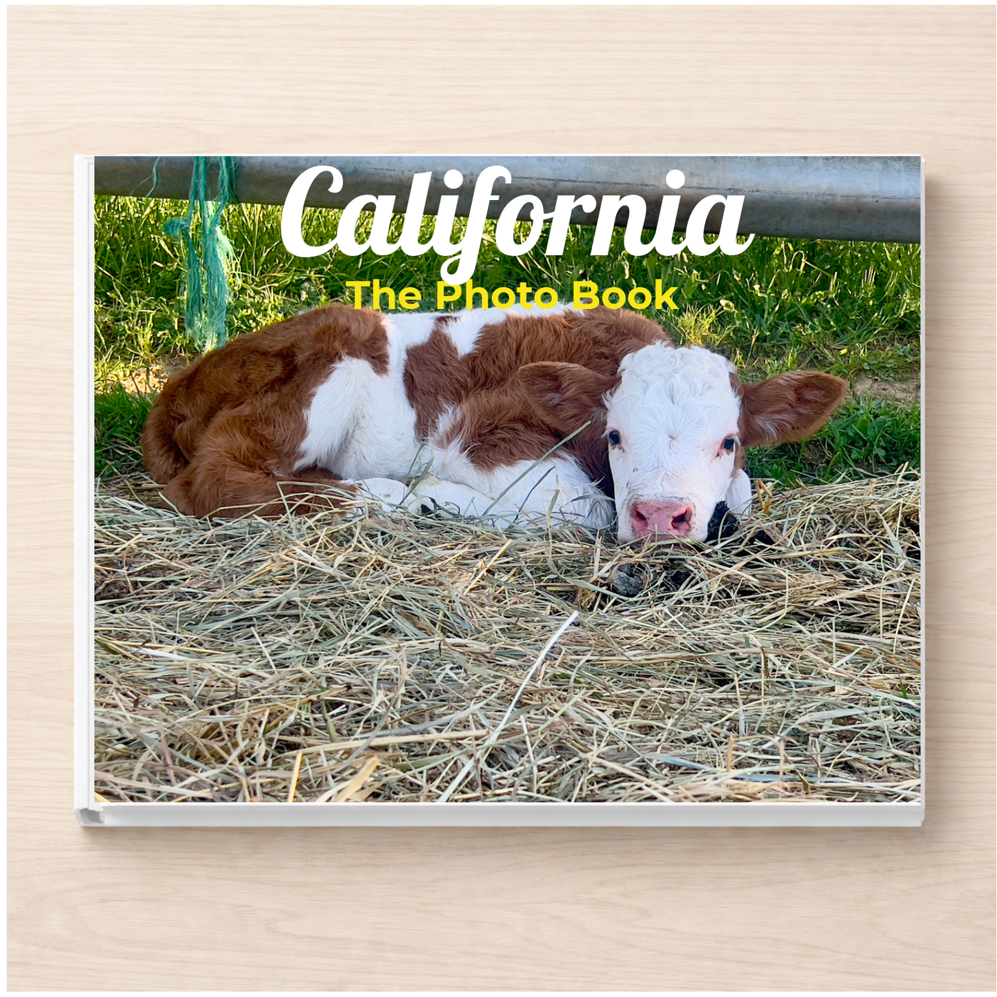 California: The Photo Book