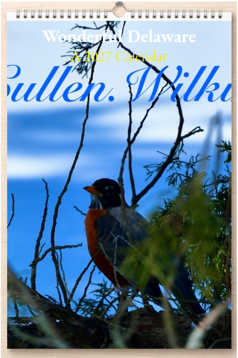 Wonderful Delaware: A 2027 Calendar