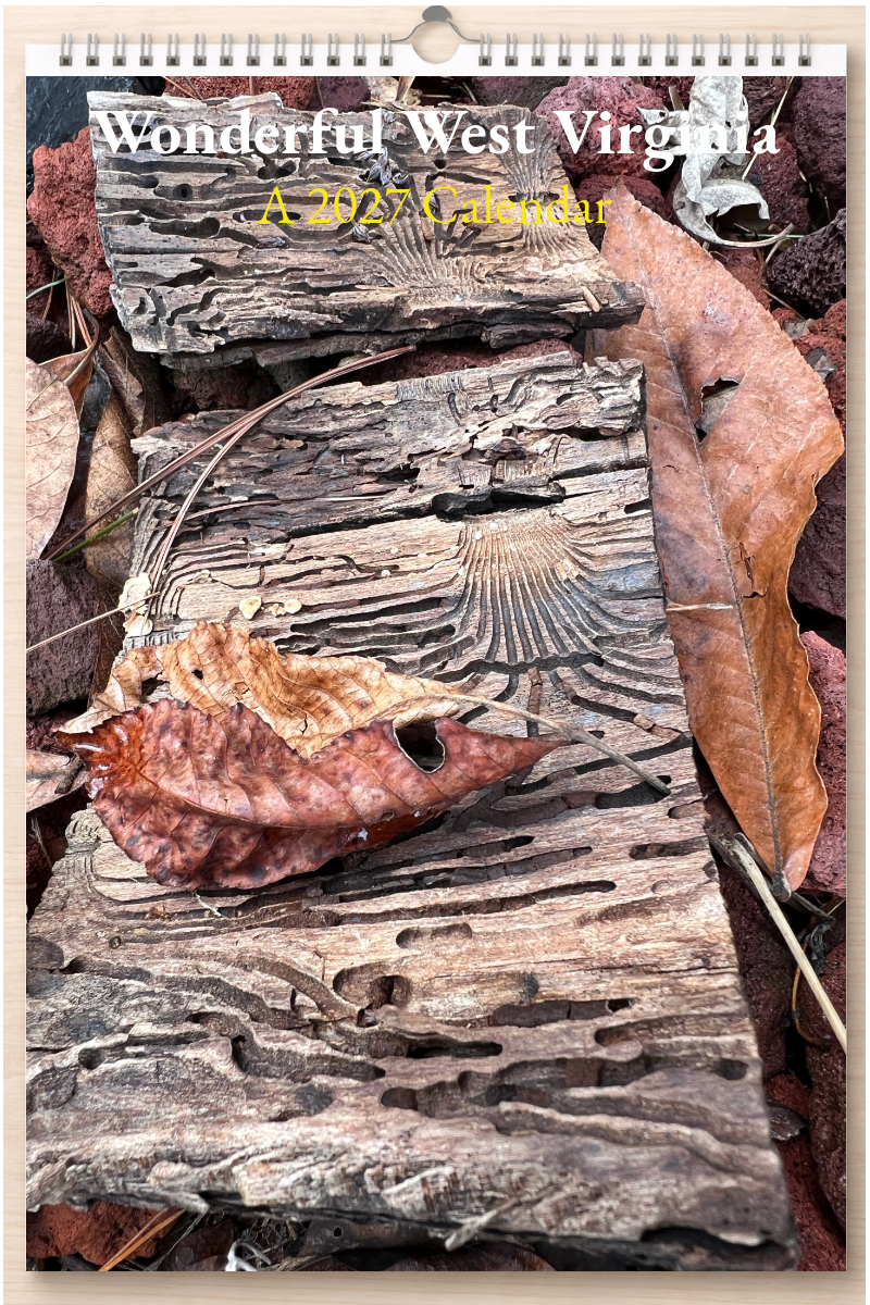 Wonderful West Virginia: A 2027 Calendar