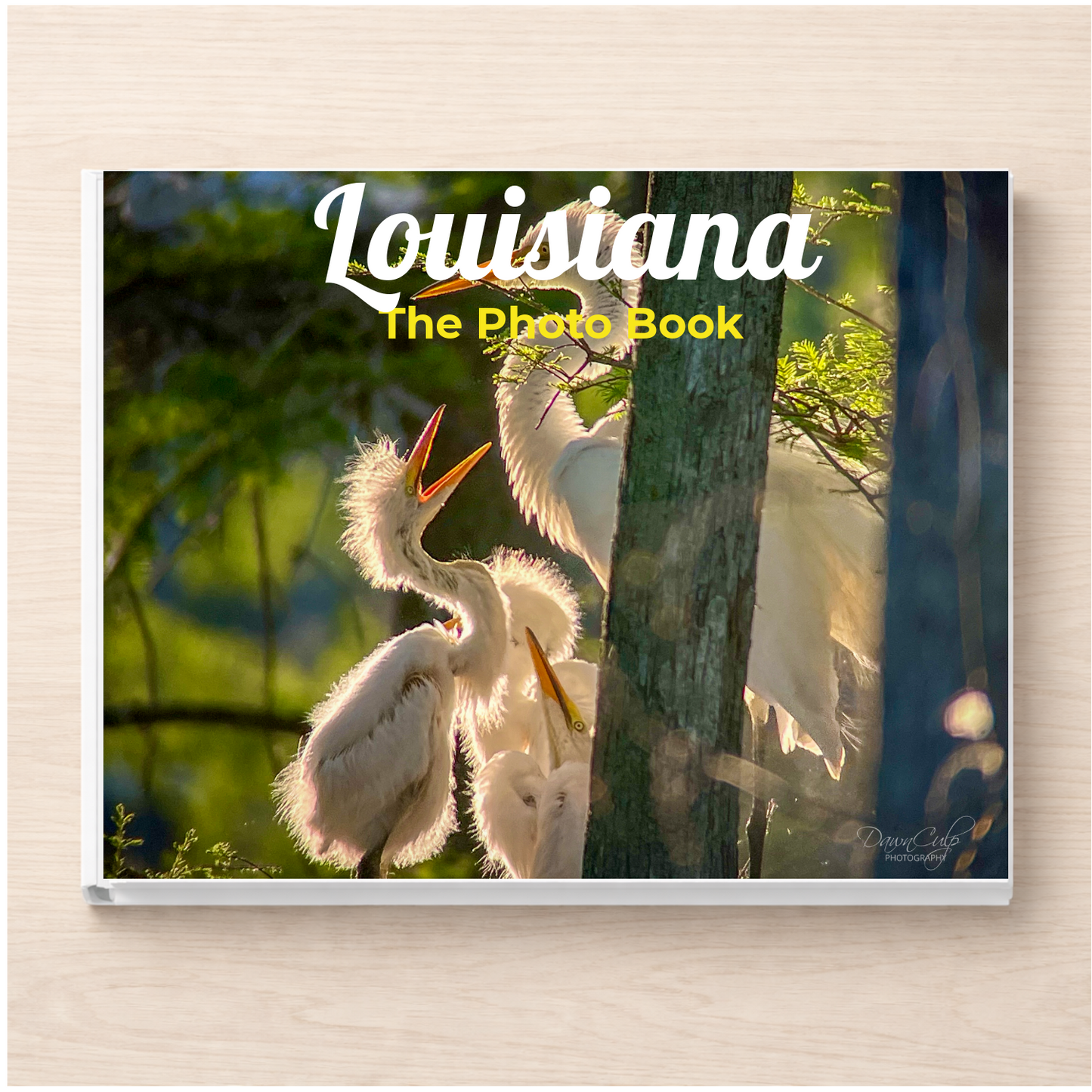 Louisiana: The Photo Book