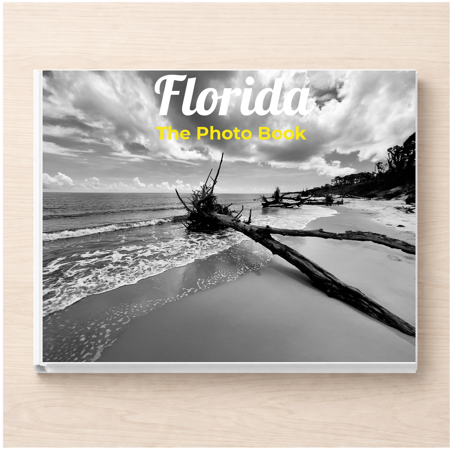 Florida: The Photo Book