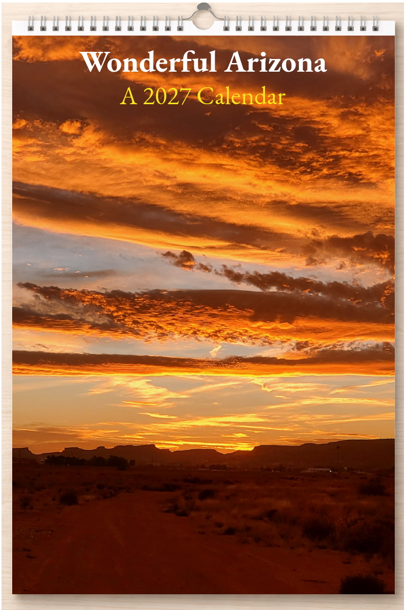 Wonderful Arizona: A 2027 Calendar