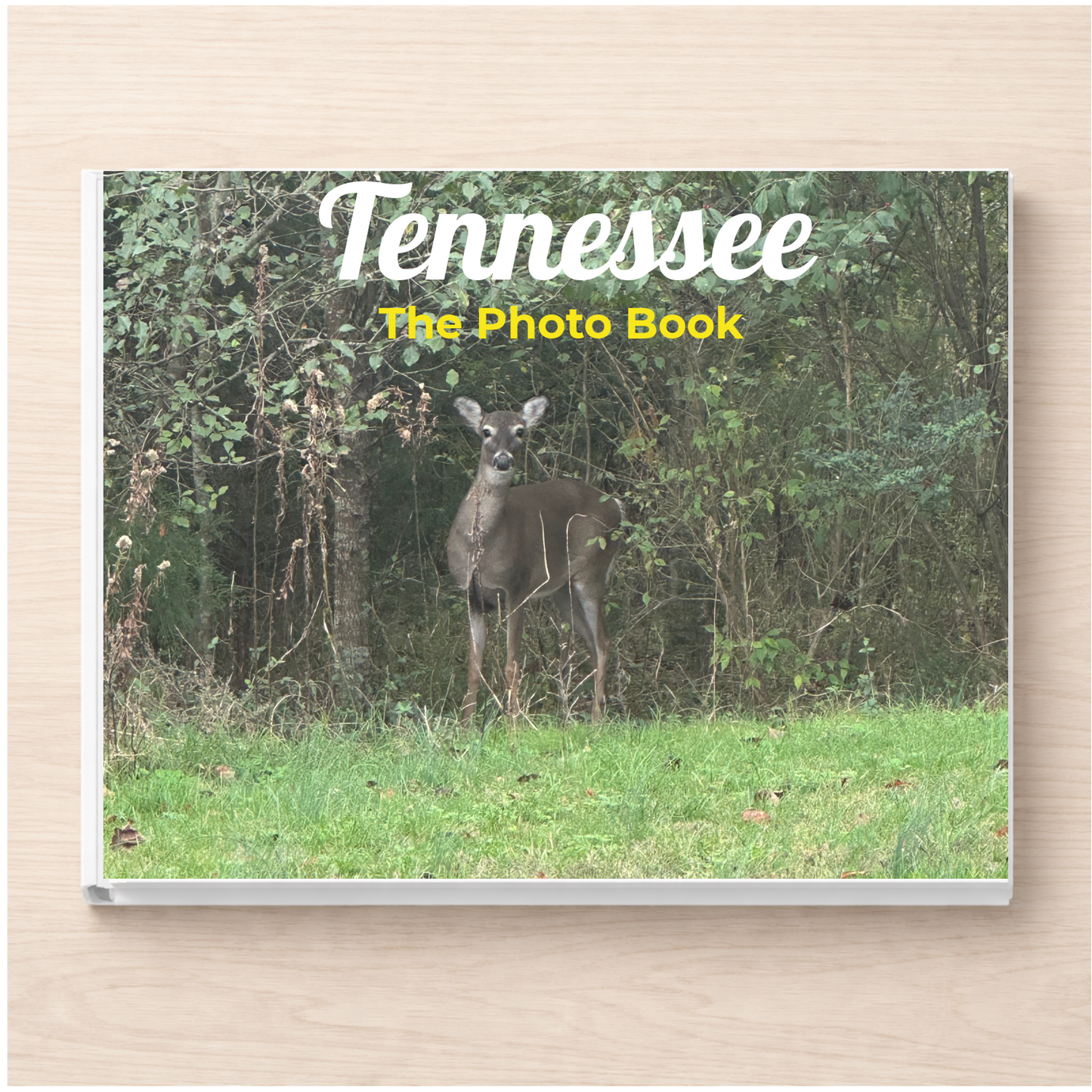 Tennessee: The Photo Book