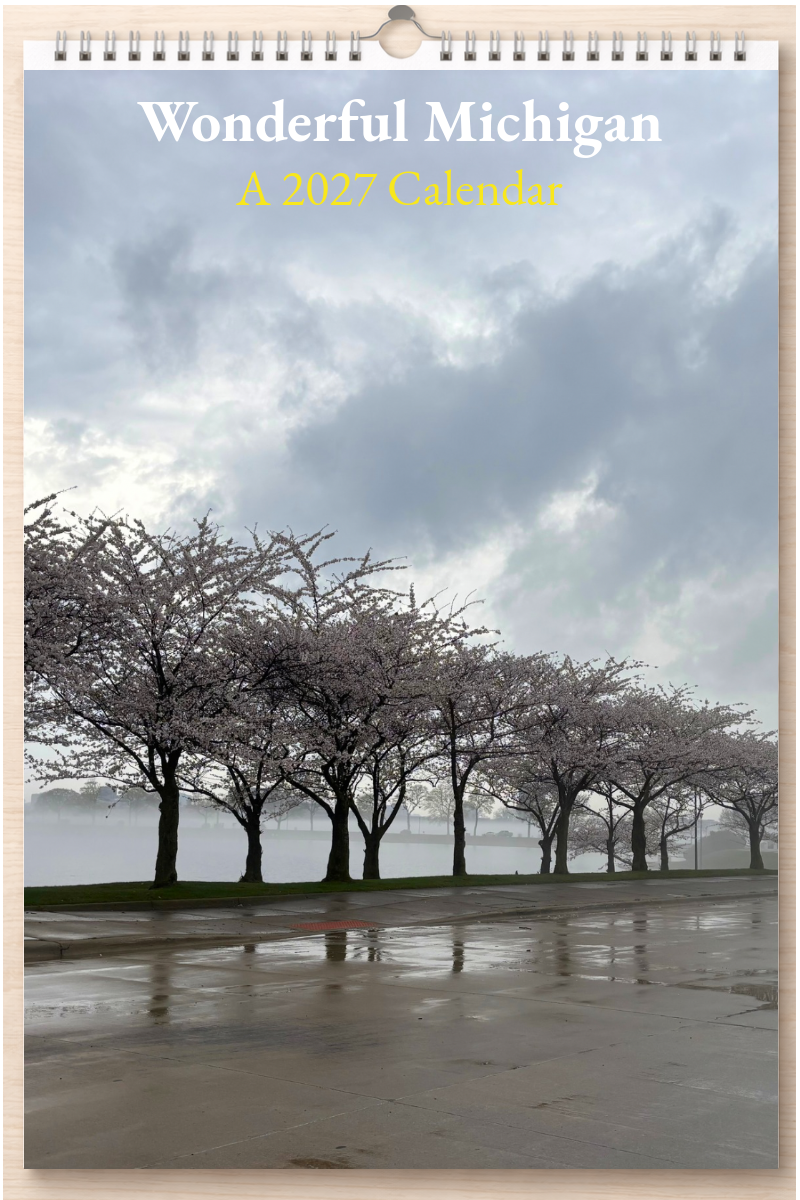 Wonderful Michigan: A 2027 Calendar