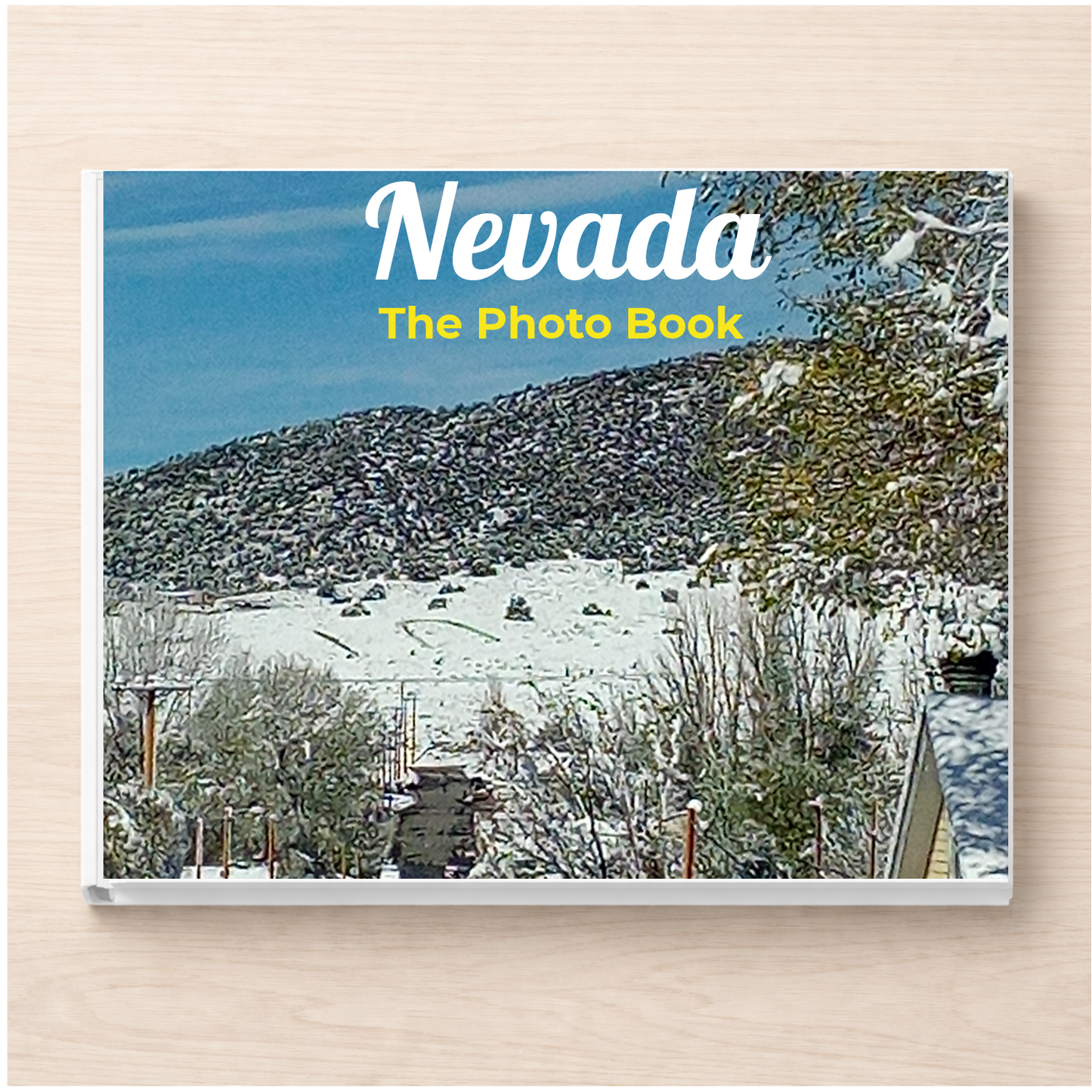 Nevada: The Photo Book