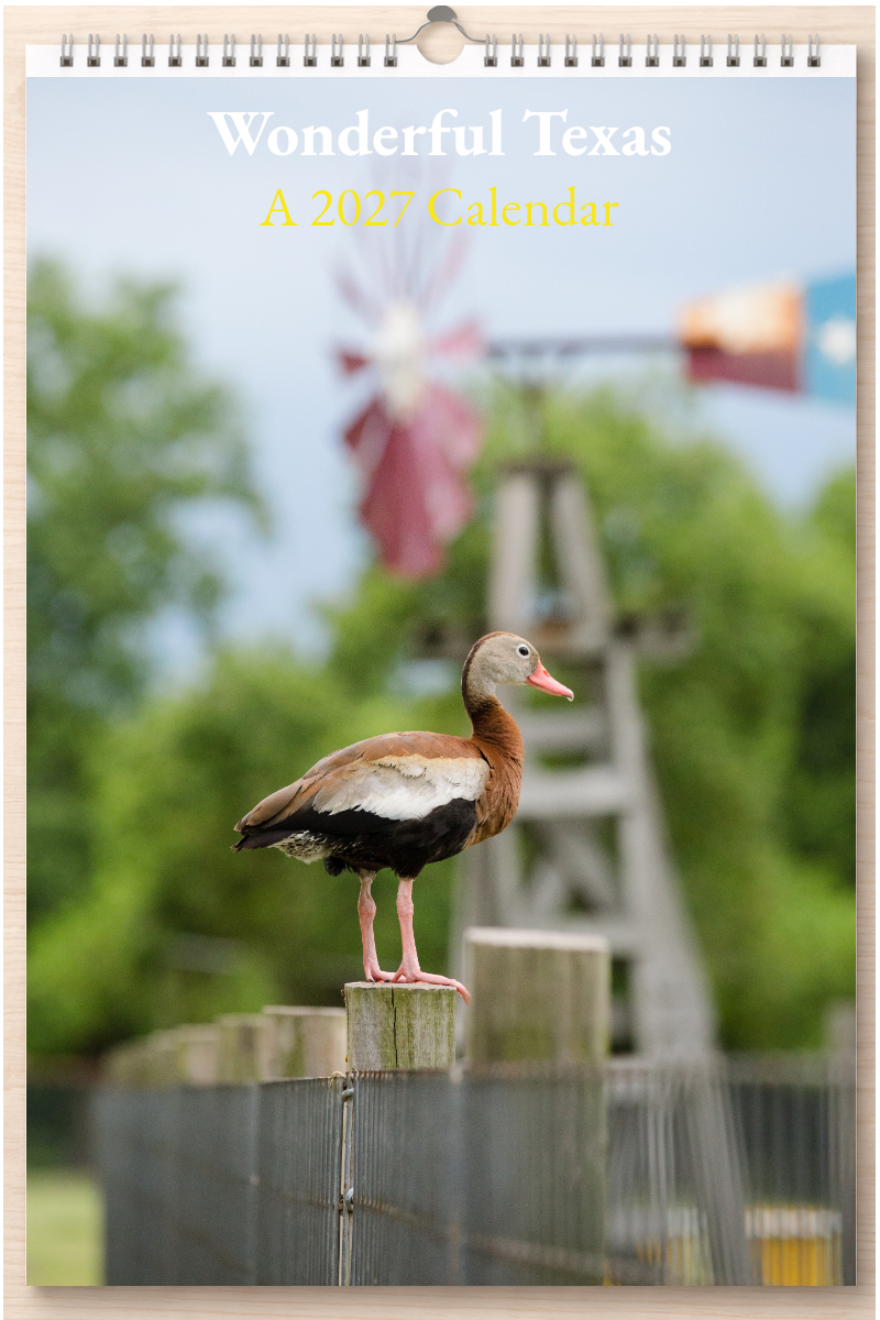 Wonderful Texas: A 2027 Calendar