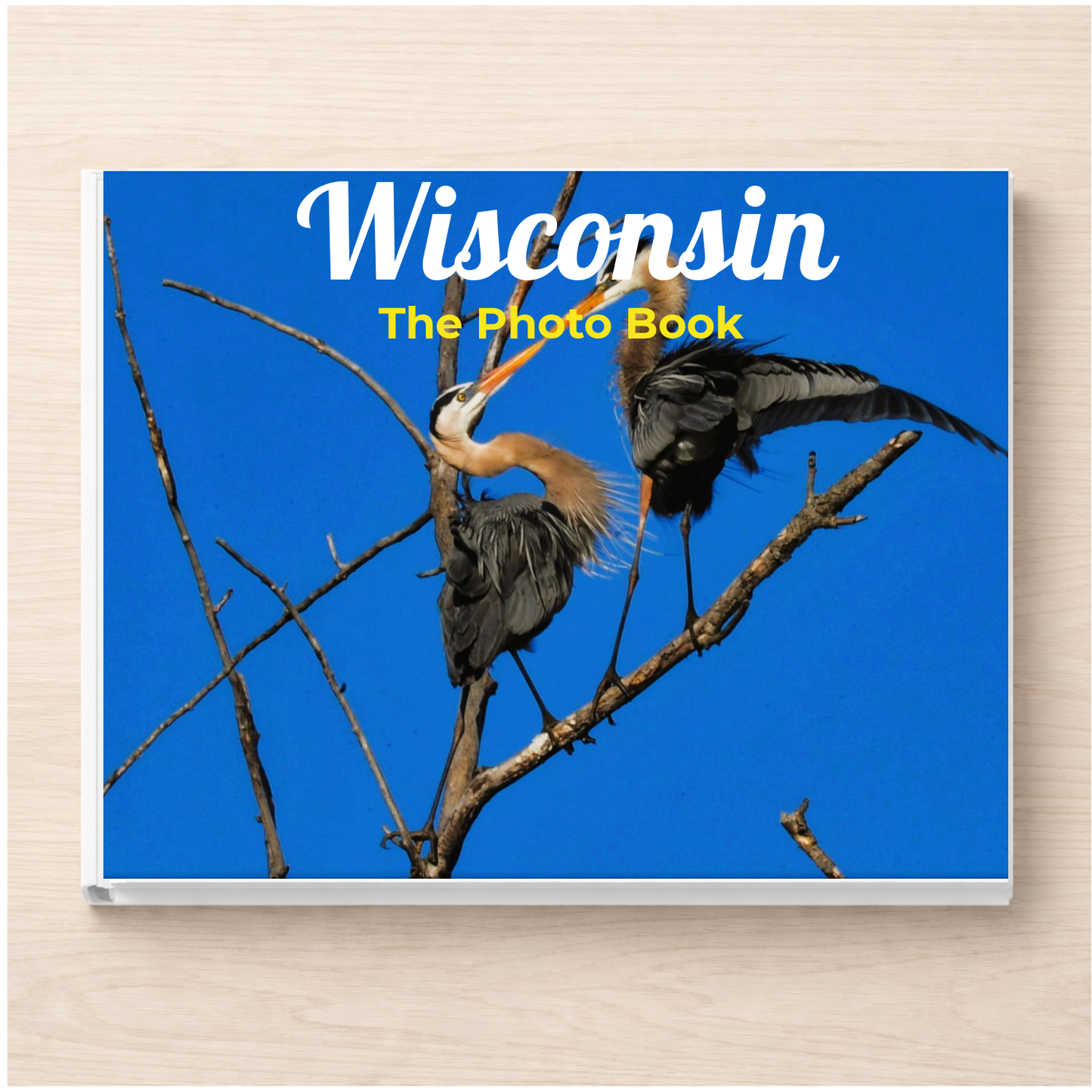 Wisconsin: The Photo Book