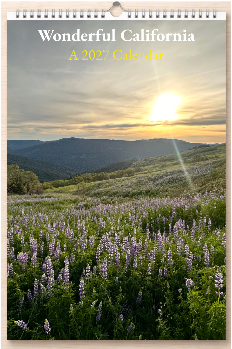 Wonderful California: A 2027 Calendar