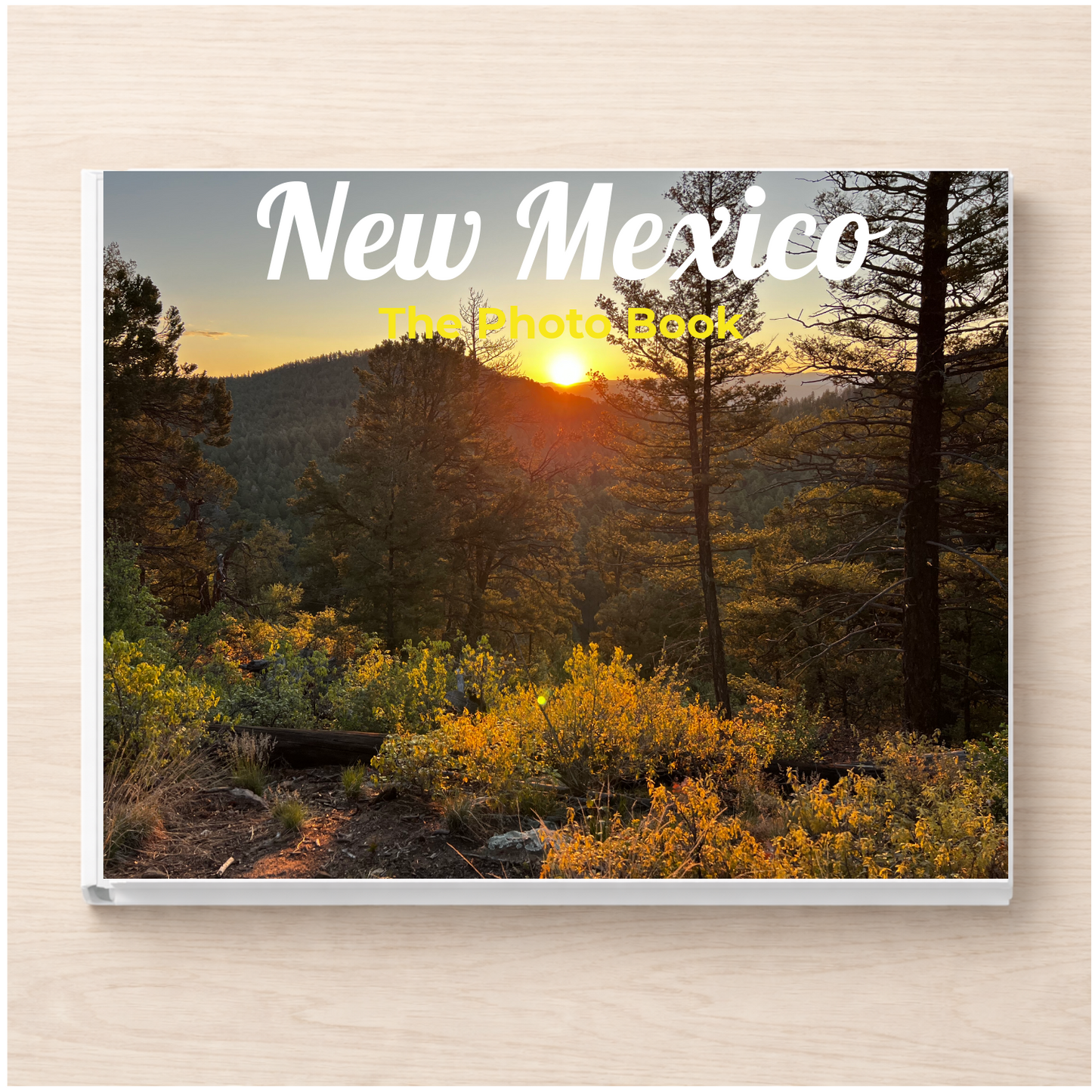 New Mexico: The Photo Book
