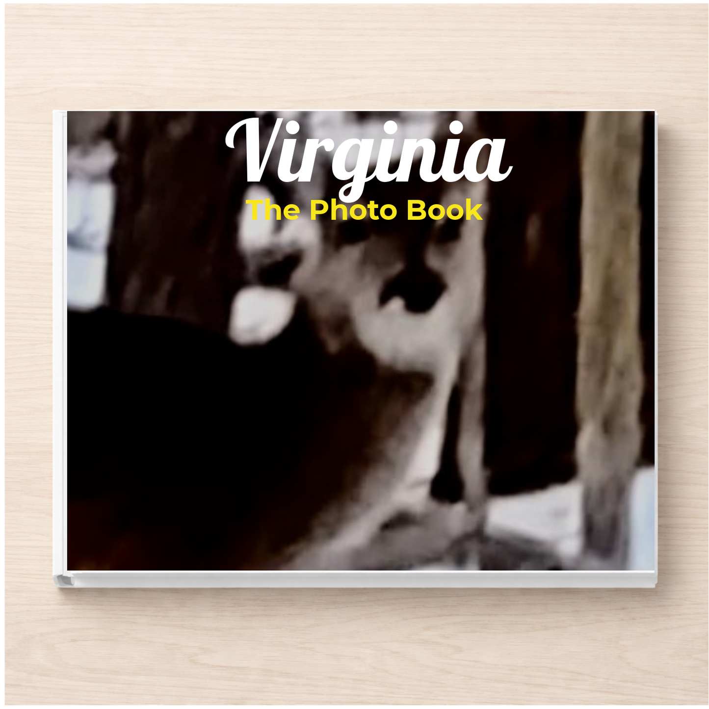 Virginia: The Photo Book