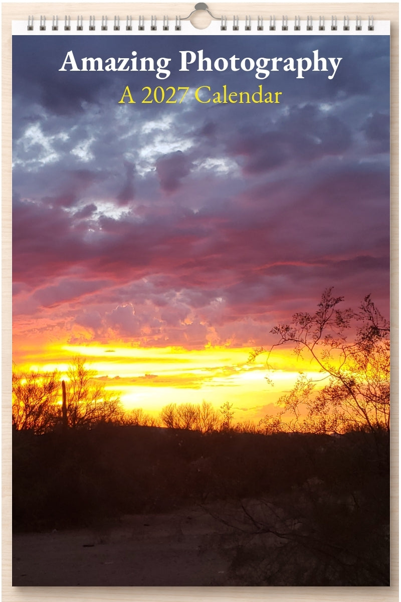 Amazing Photography: A 2027 Calendar