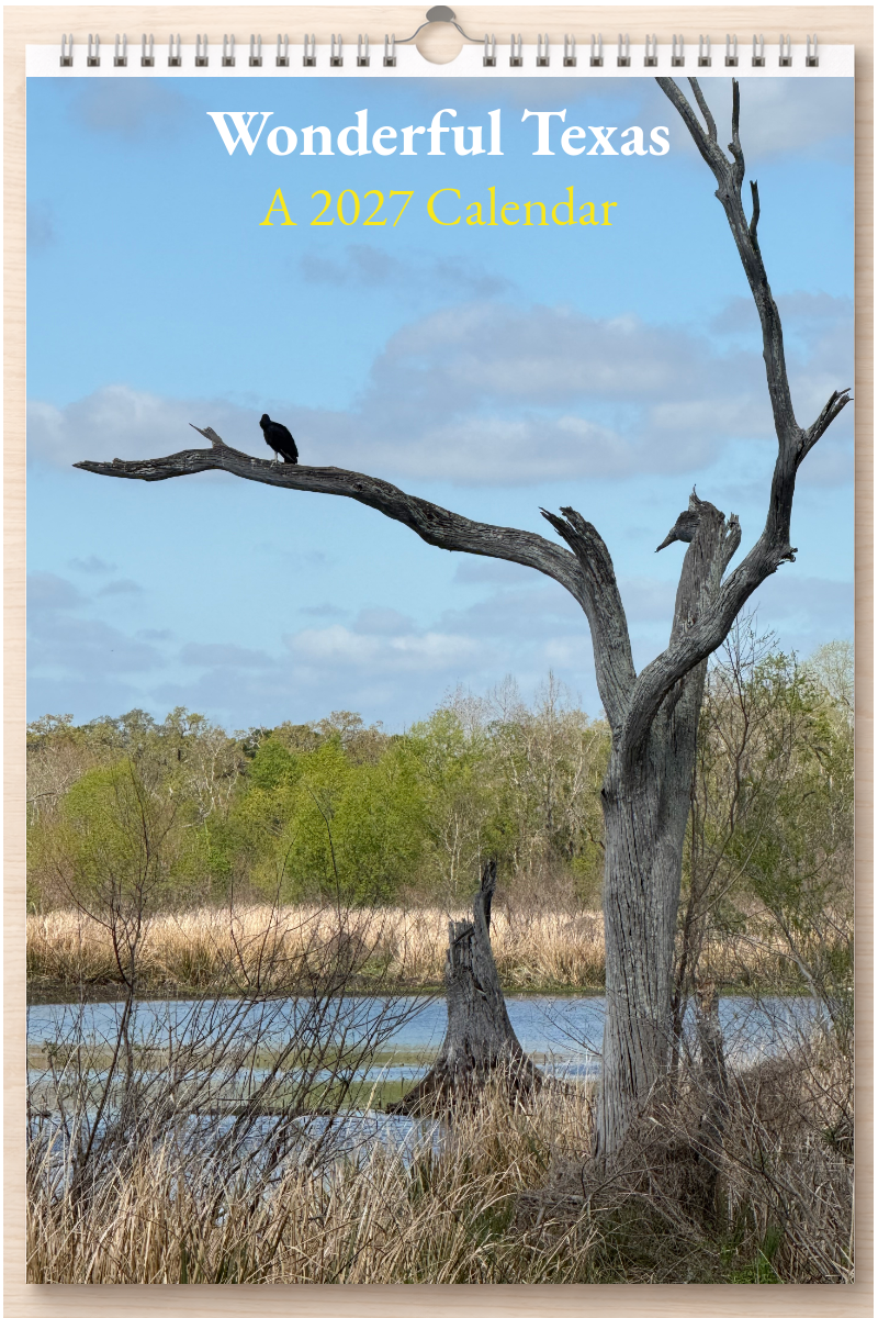 Wonderful Texas: A 2027 Calendar