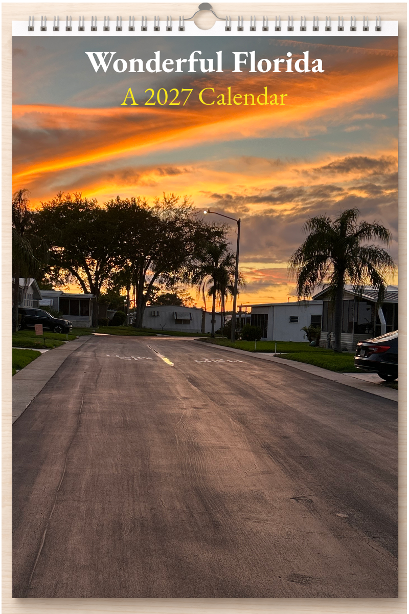 Wonderful Florida: A 2027 Calendar