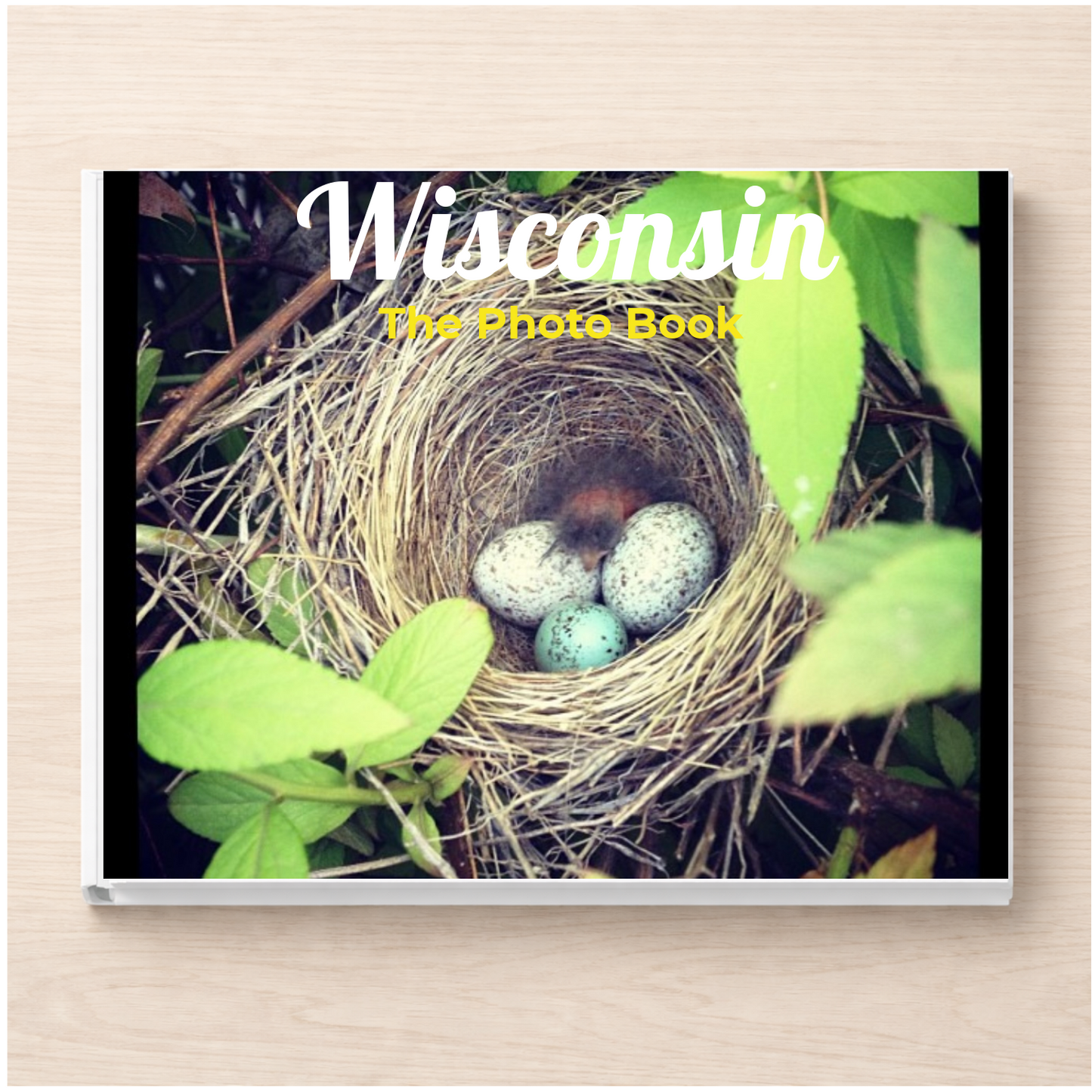 Wisconsin: The Photo Book