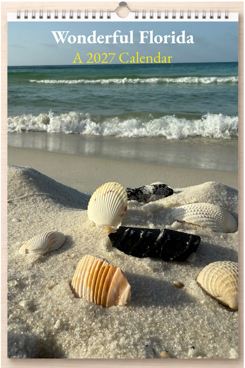 Wonderful Florida: A 2027 Calendar