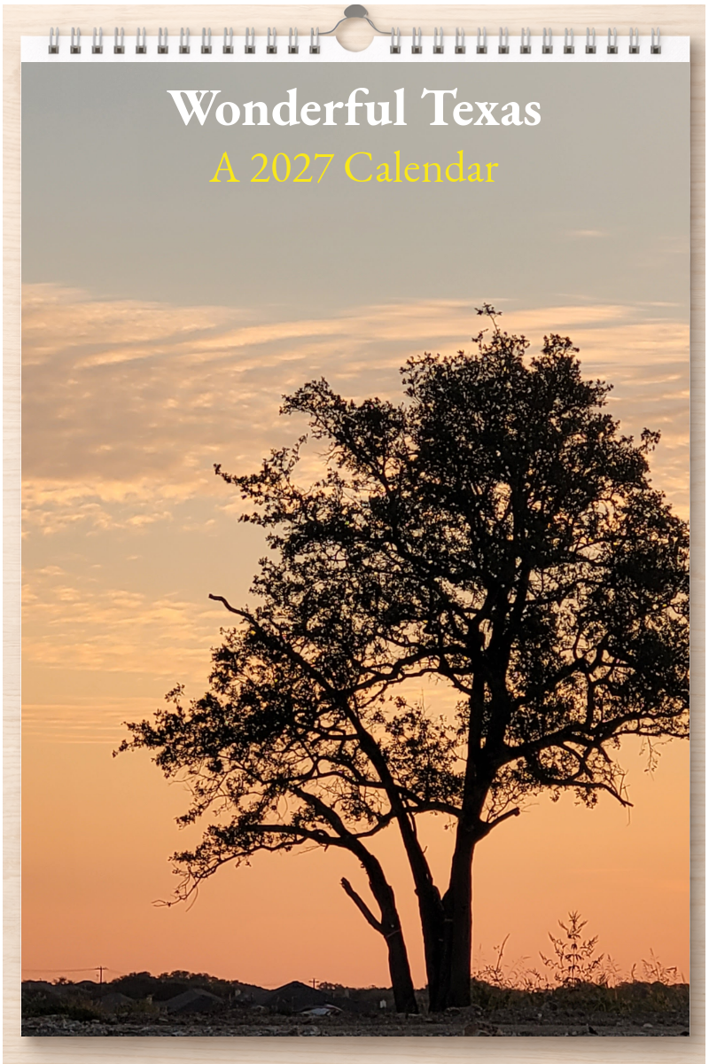Wonderful Texas: A 2027 Calendar