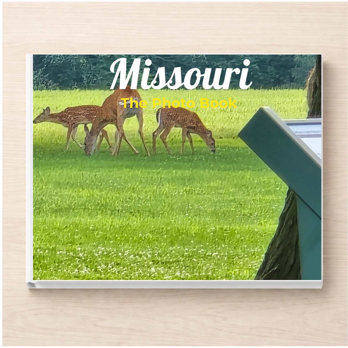 Missouri: The Photo Book