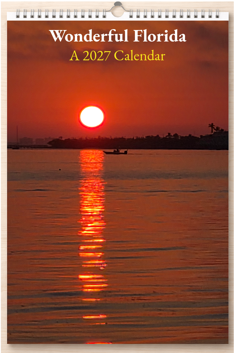 Wonderful Florida: A 2027 Calendar