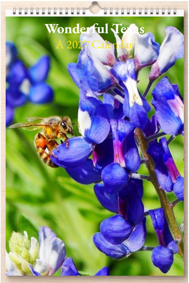 Wonderful Texas: A 2027 Calendar