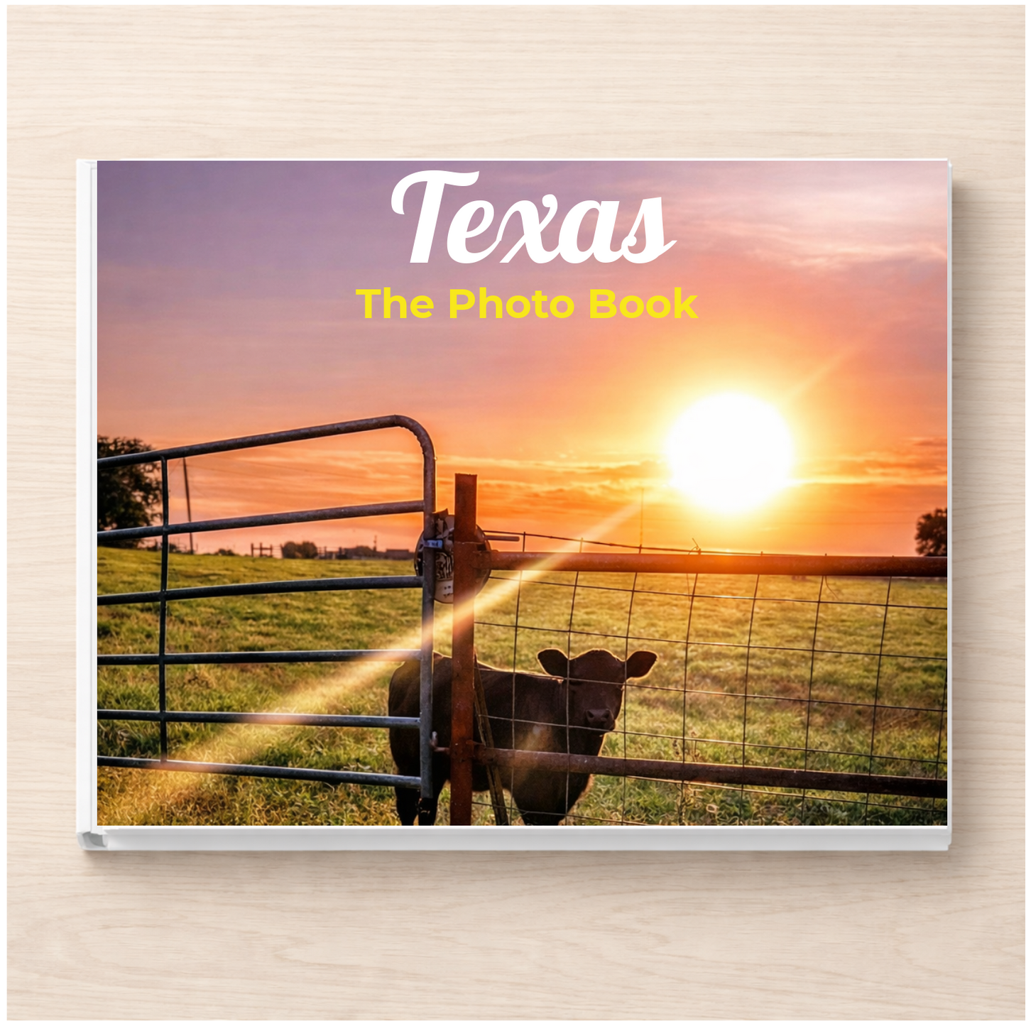 Texas: The Photo Book