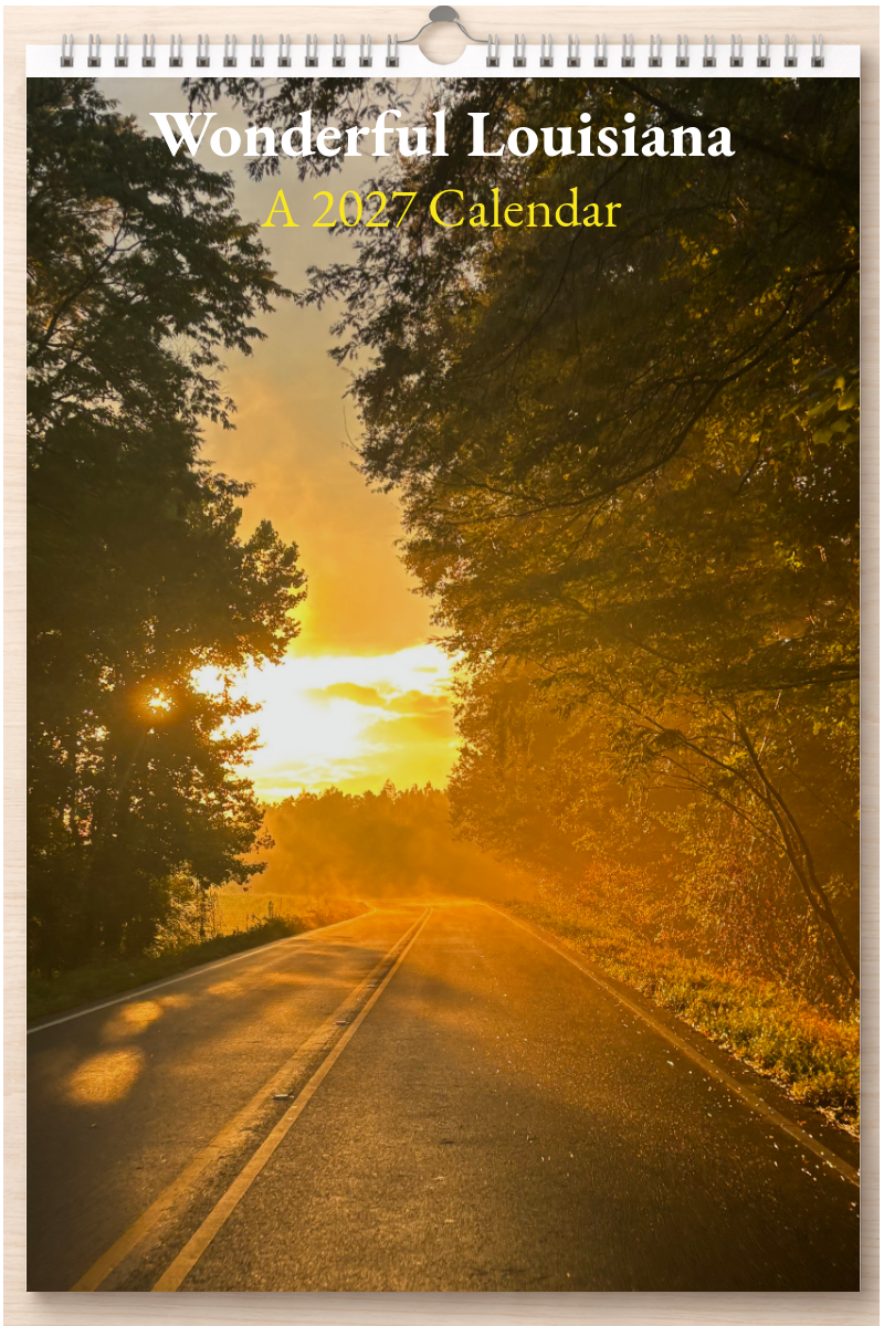 Wonderful Louisiana: A 2027 Calendar