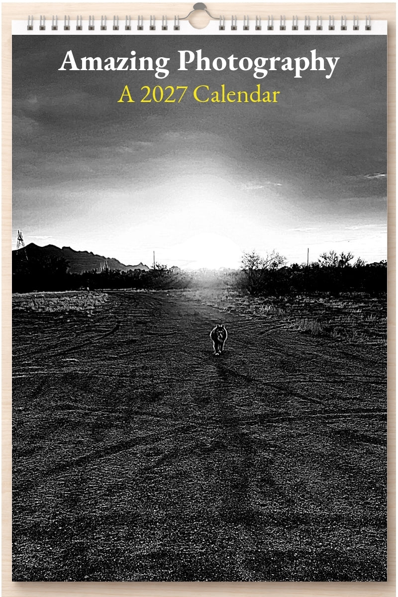 Amazing Photography: A 2027 Calendar