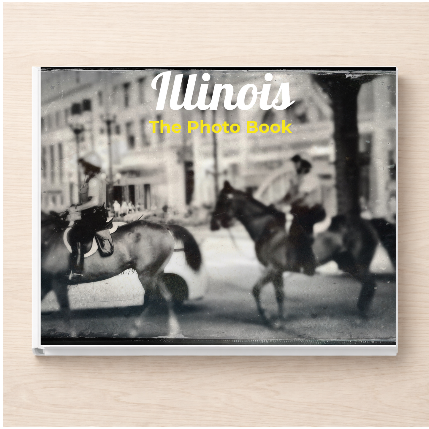 Illinois: The Photo Book