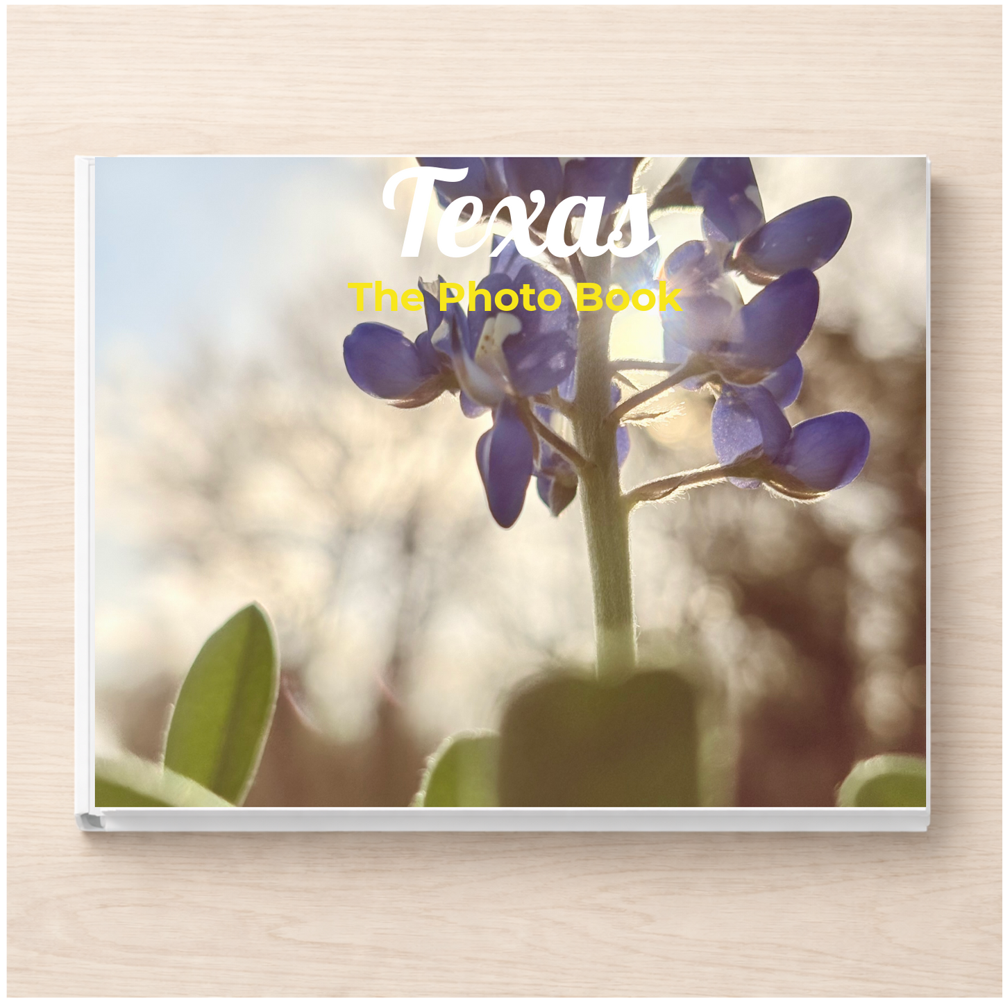 Texas: The Photo Book