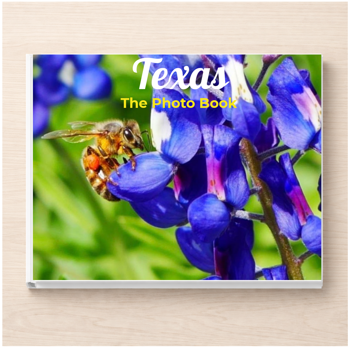 Texas: The Photo Book