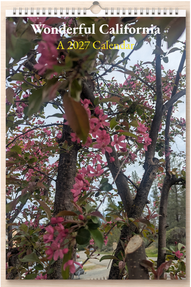 Wonderful California: A 2027 Calendar