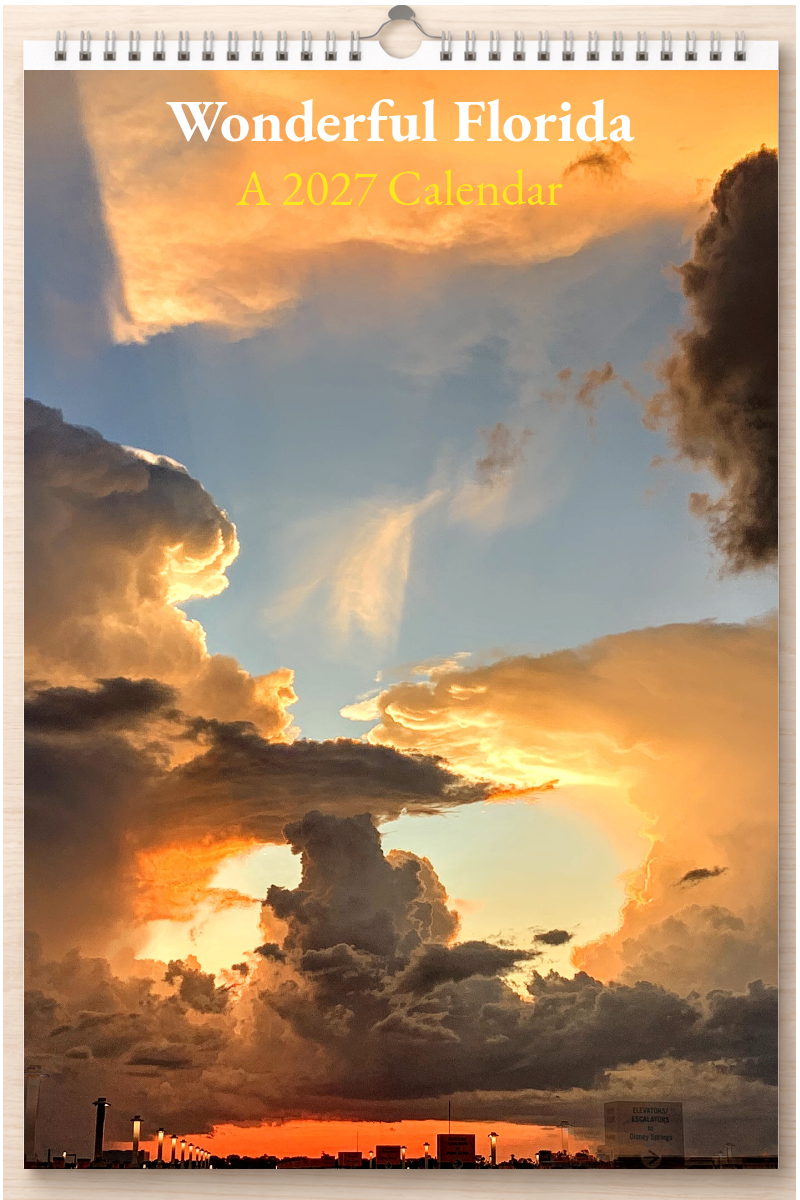 Wonderful Florida: A 2027 Calendar