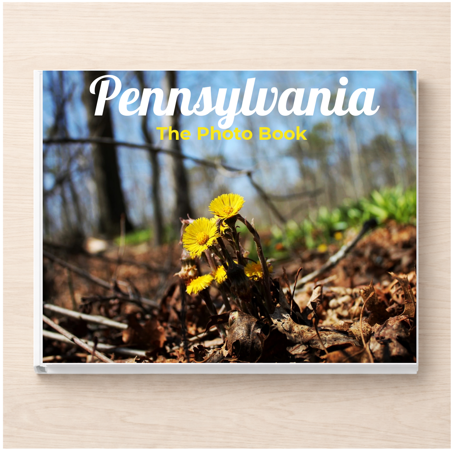 Pennsylvania: The Photo Book