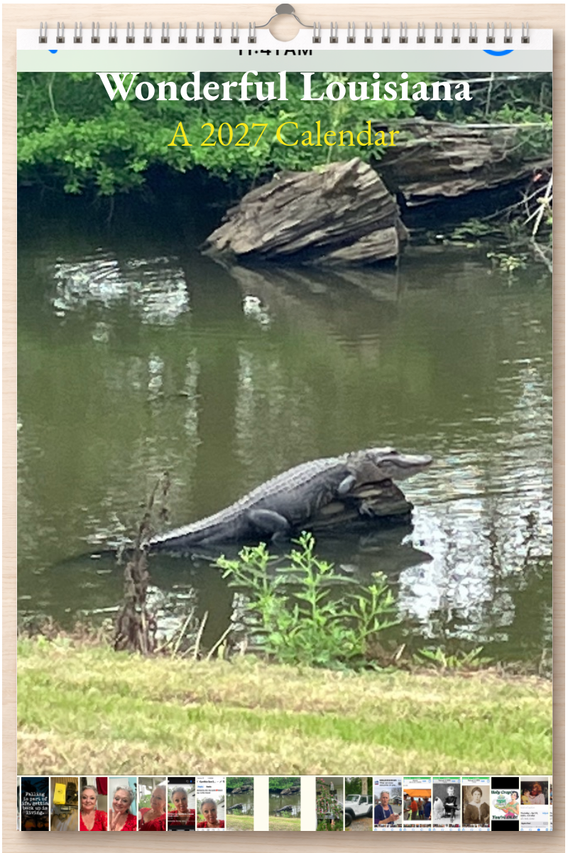 Wonderful Louisiana: A 2027 Calendar