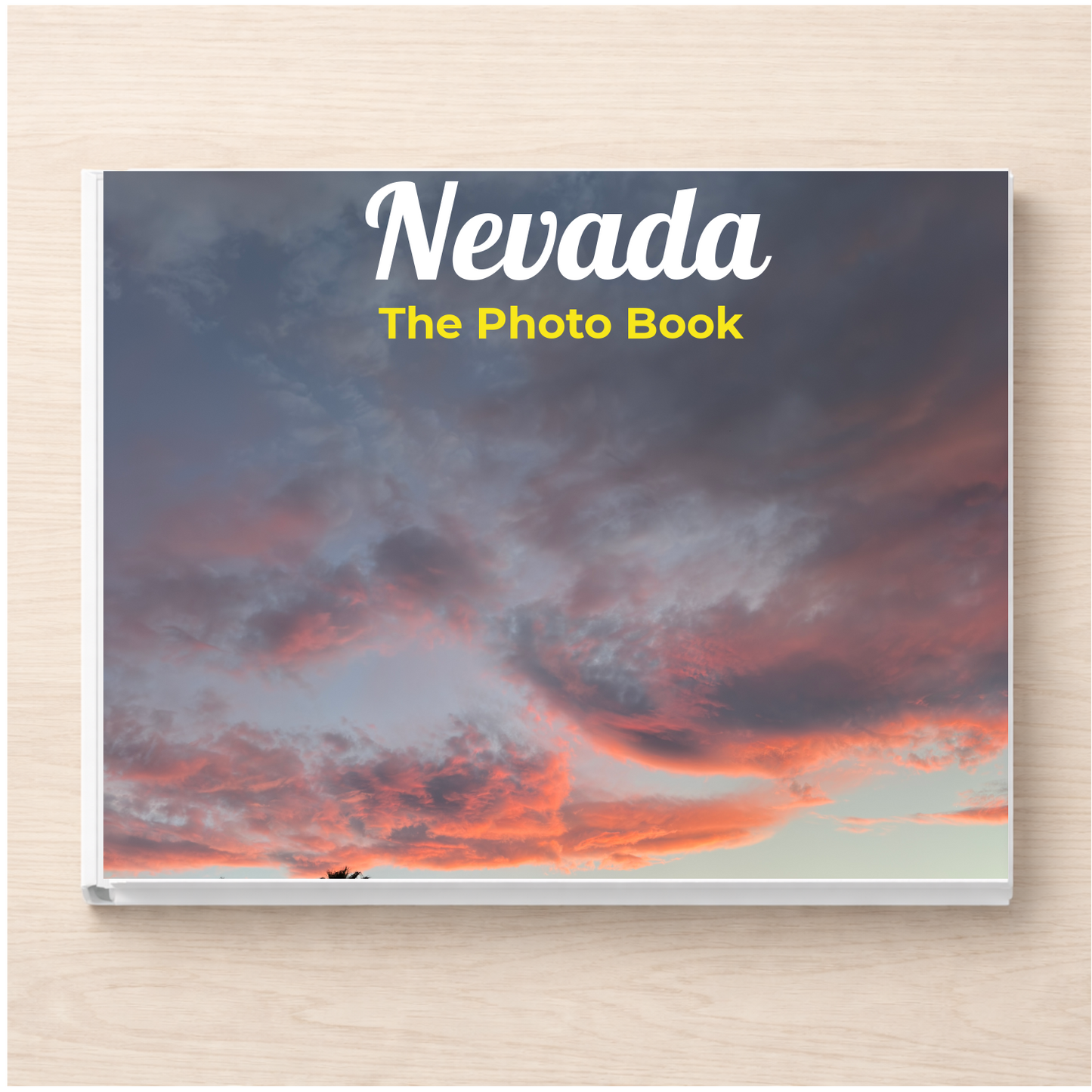Nevada: The Photo Book