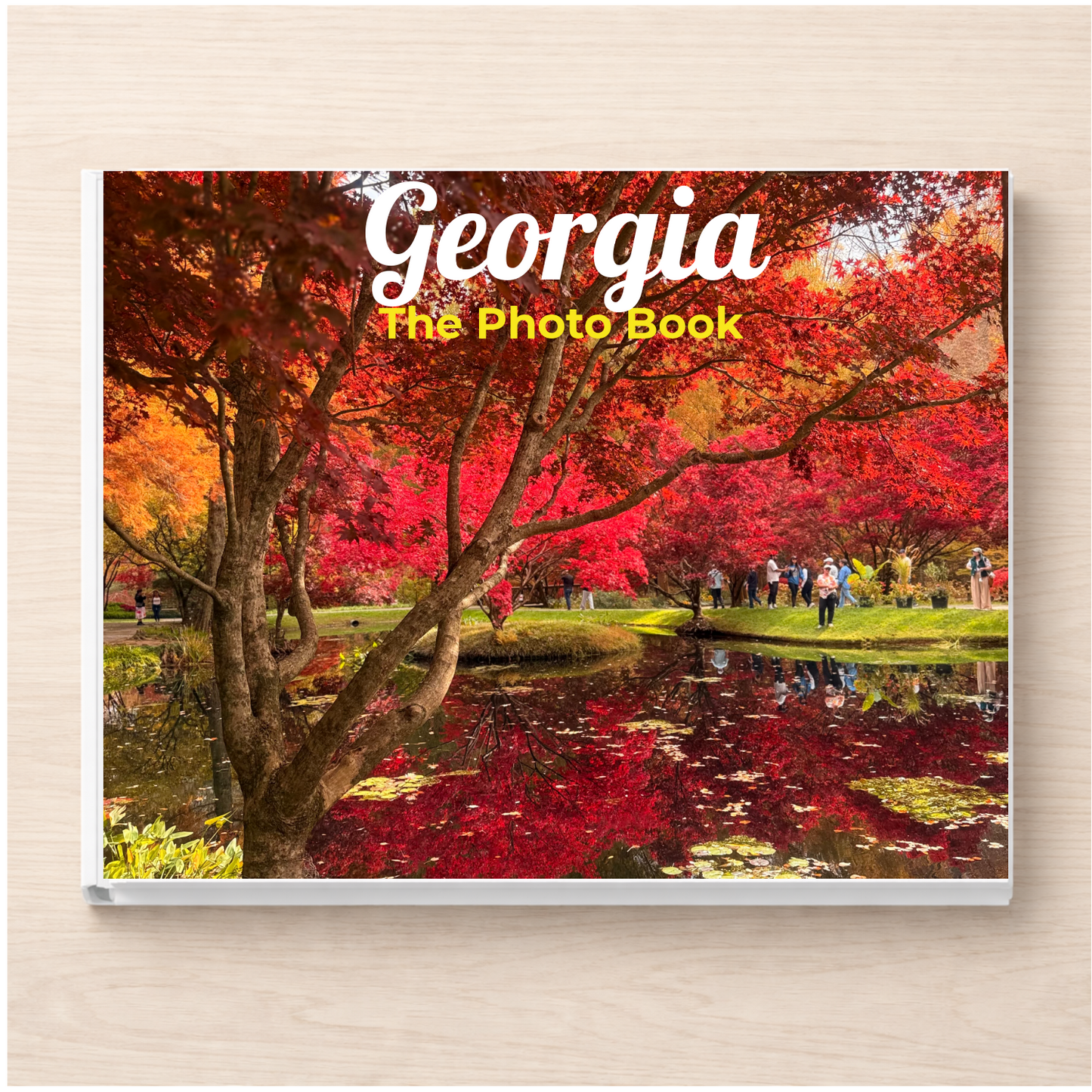 Georgia: The Photo Book