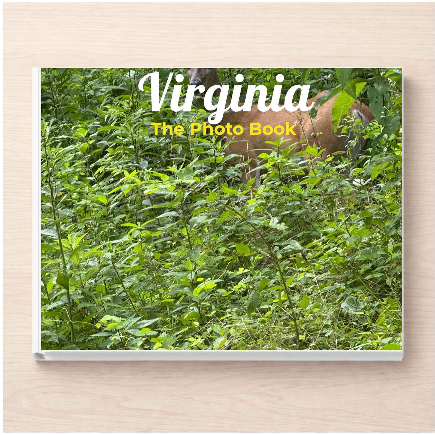 Virginia: The Photo Book