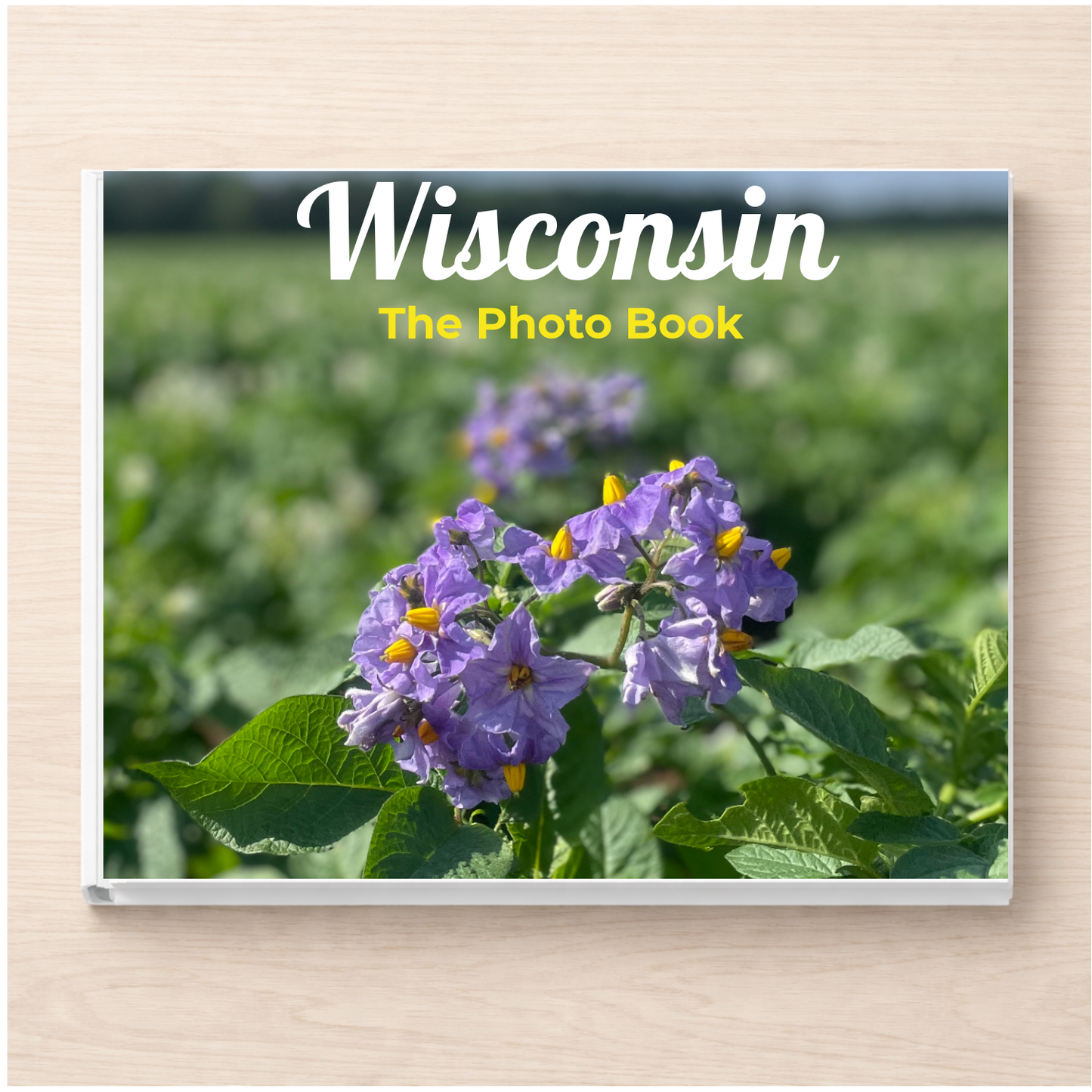 Wisconsin: The Photo Book