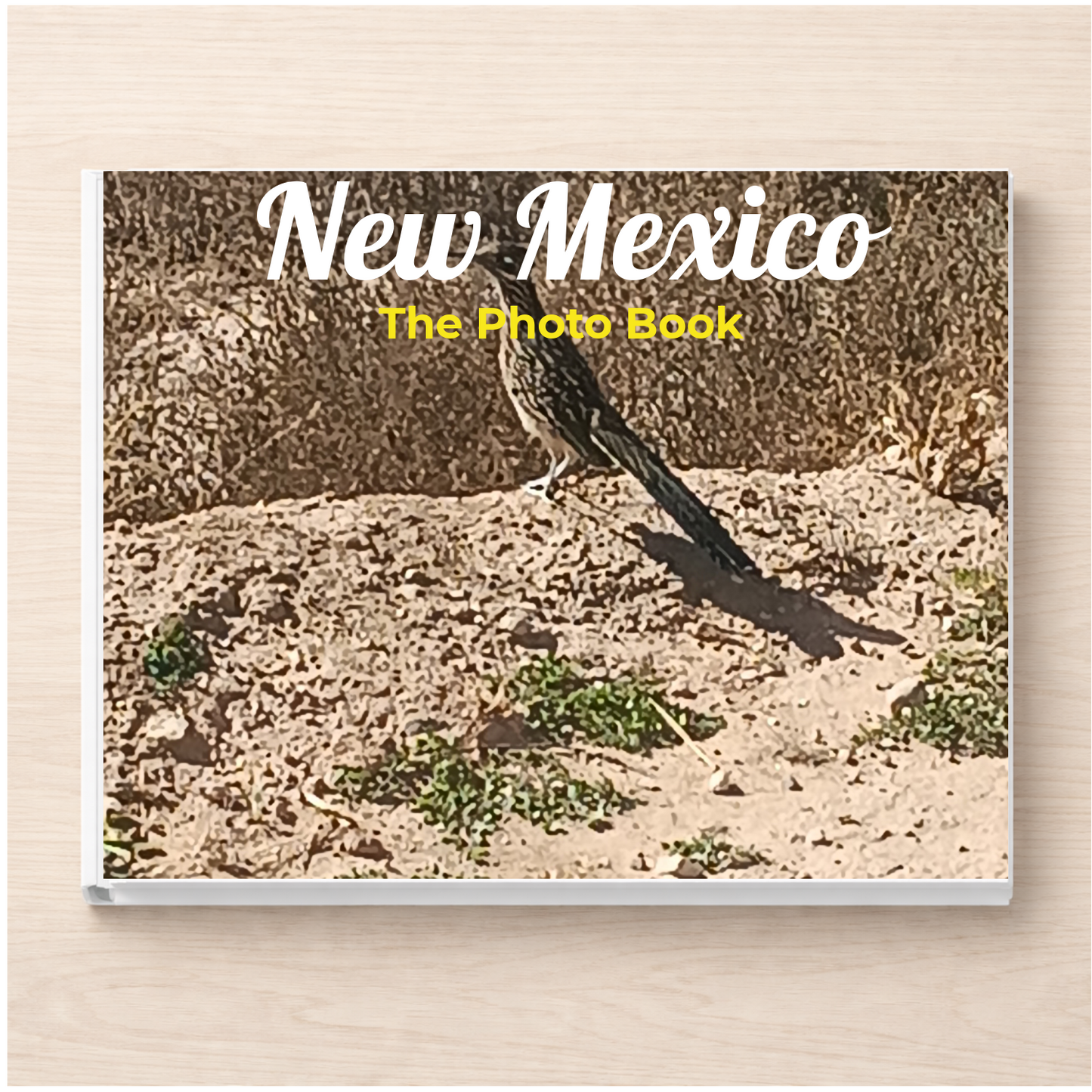 New Mexico: The Photo Book