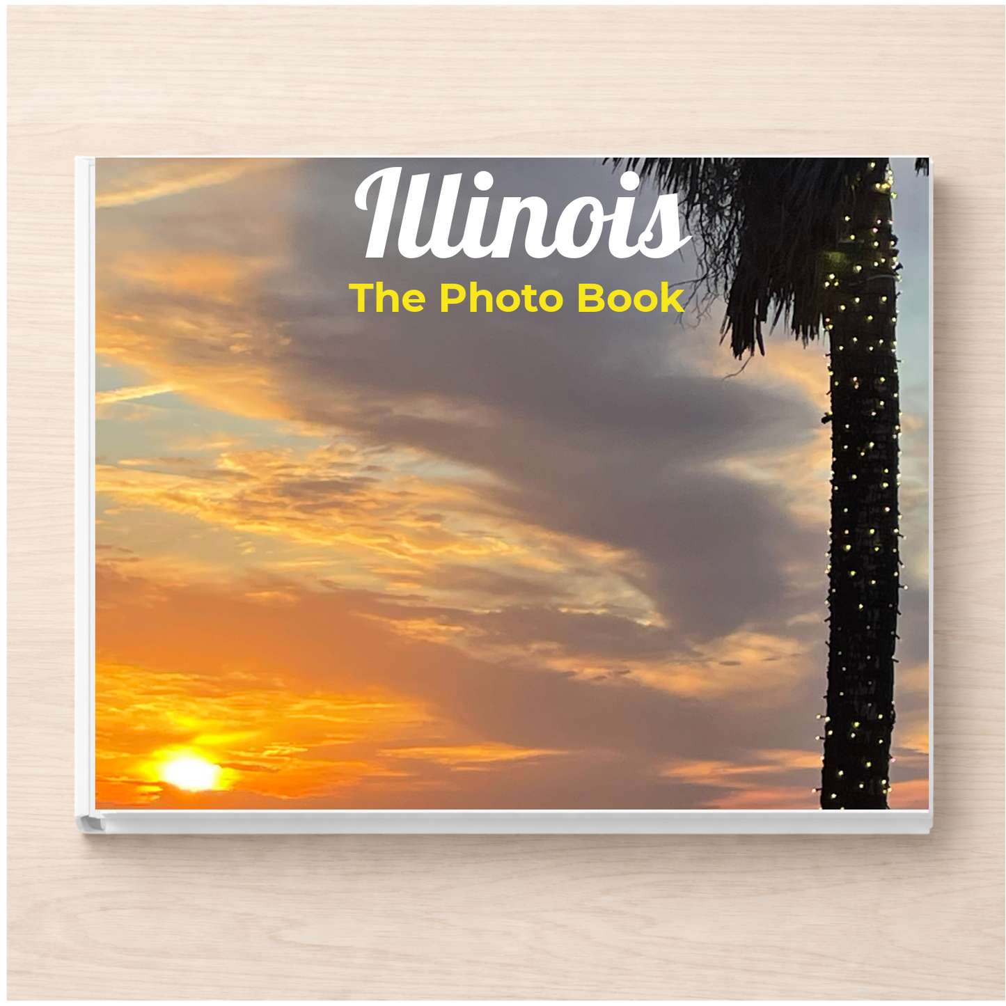 Illinois: The Photo Book