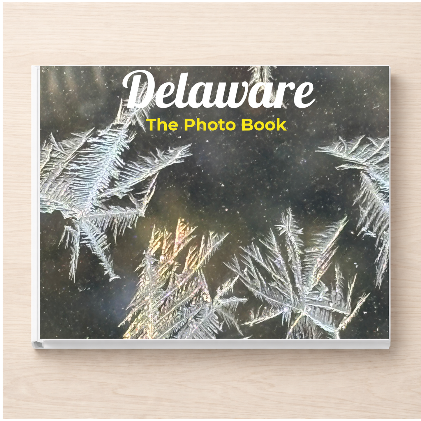 Delaware: The Photo Book