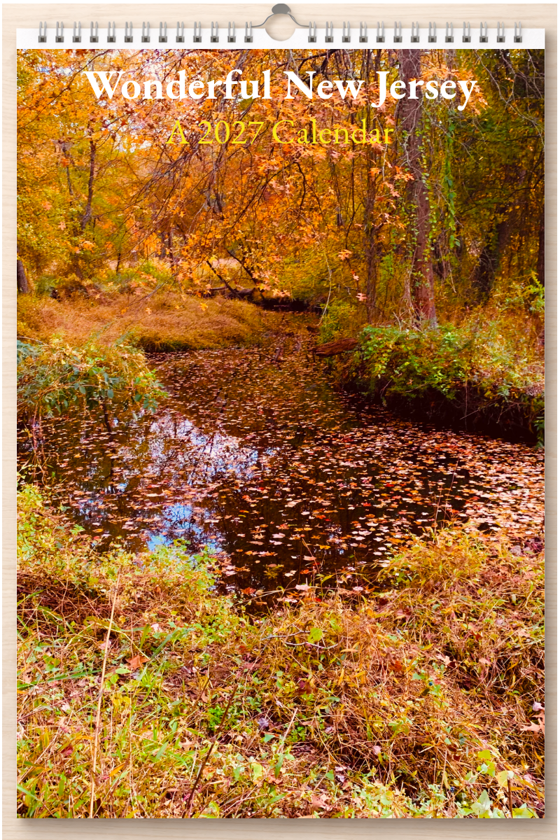 Wonderful New Jersey: A 2027 Calendar
