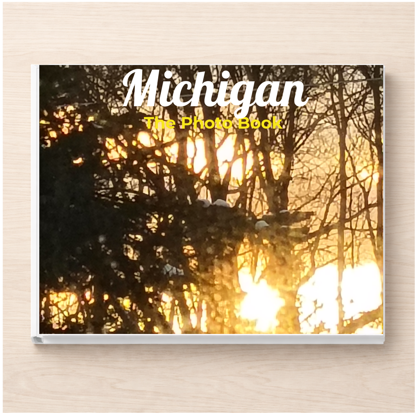 Michigan: The Photo Book