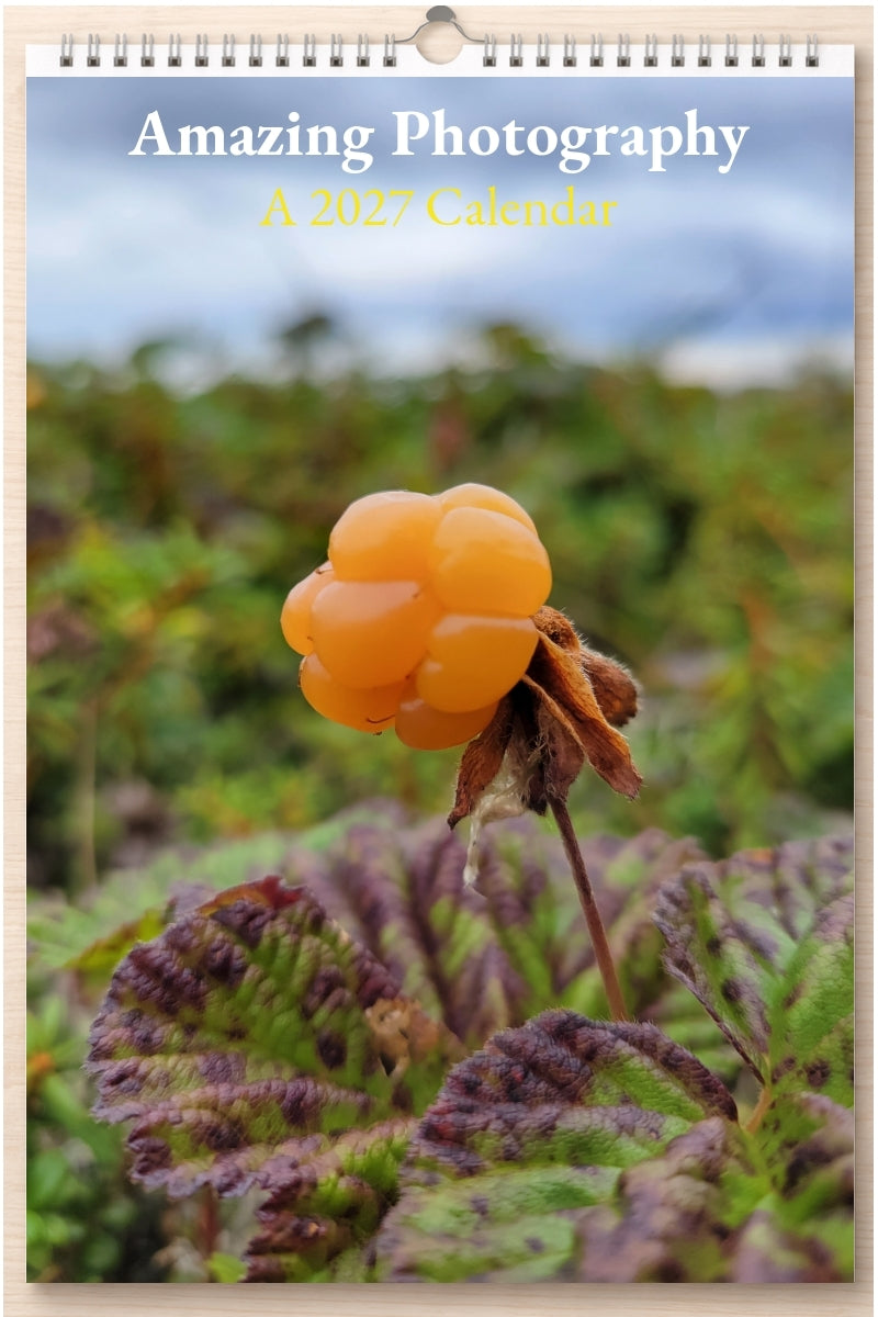 Amazing Photography: A 2027 Calendar
