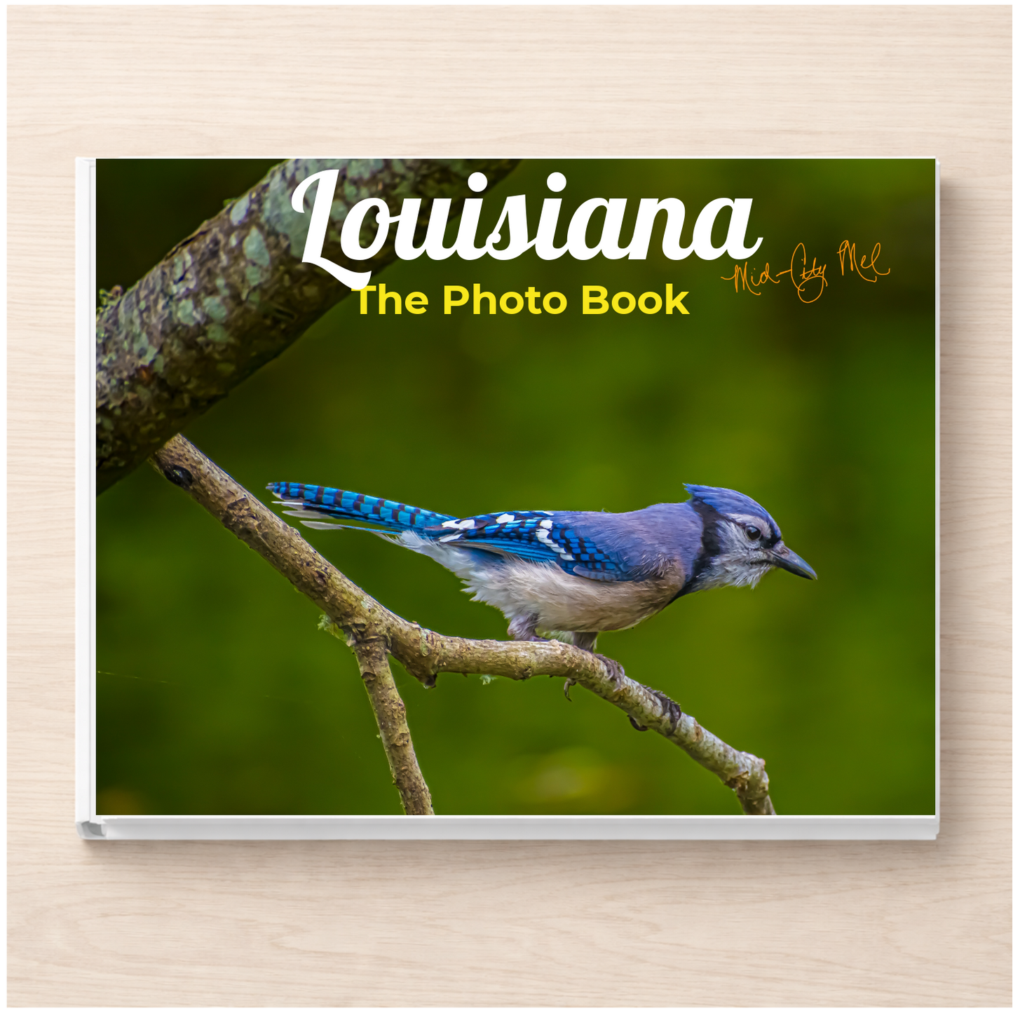 Louisiana: The Photo Book