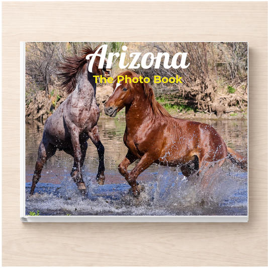 Arizona: The Photo Book