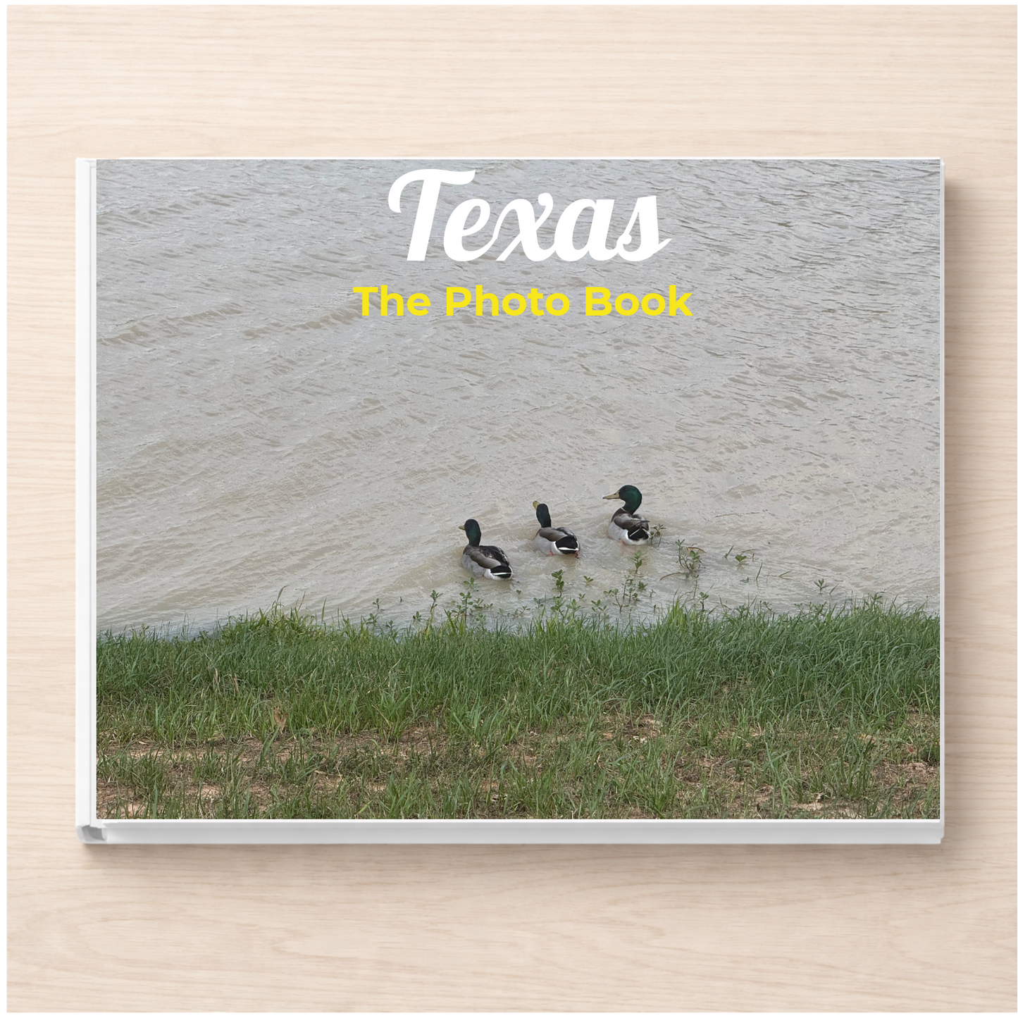Texas: The Photo Book