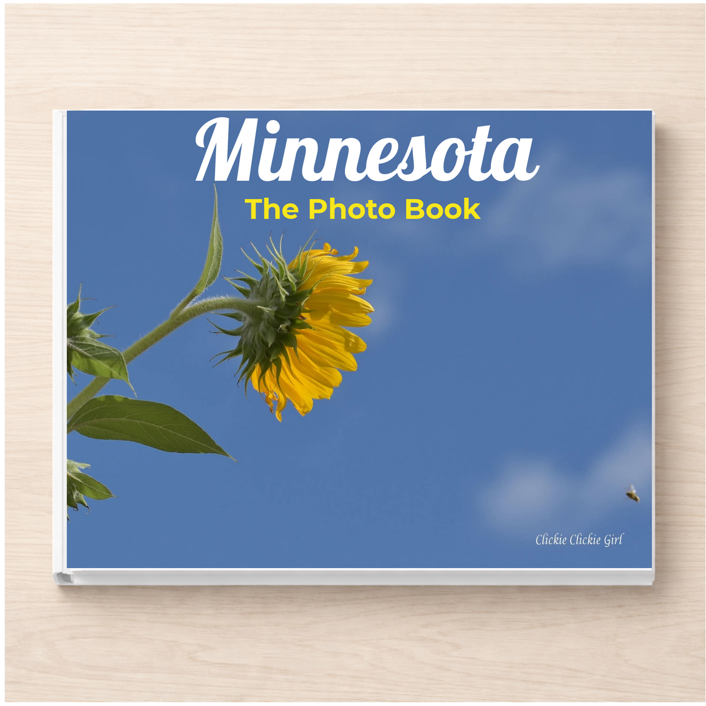 Minnesota: The Photo Book