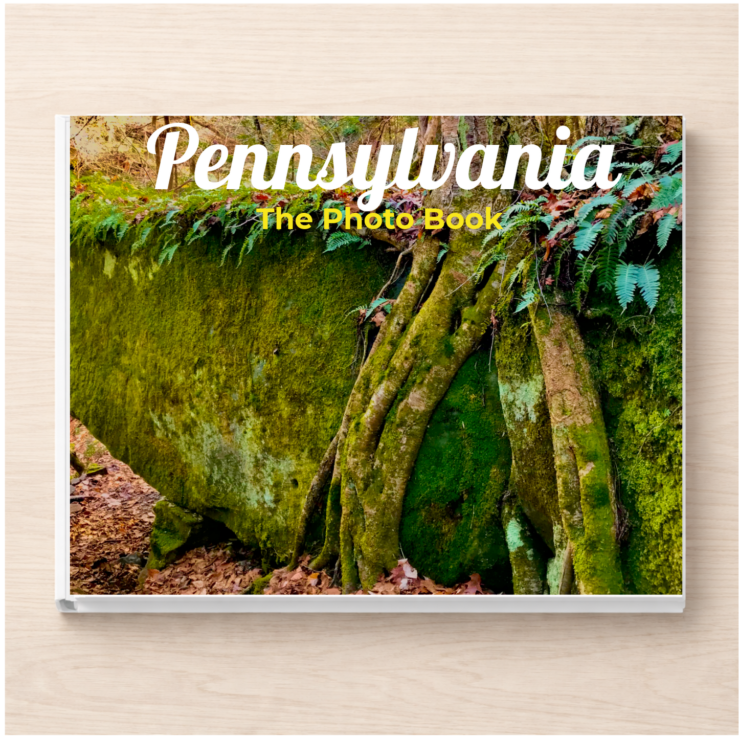 Pennsylvania: The Photo Book