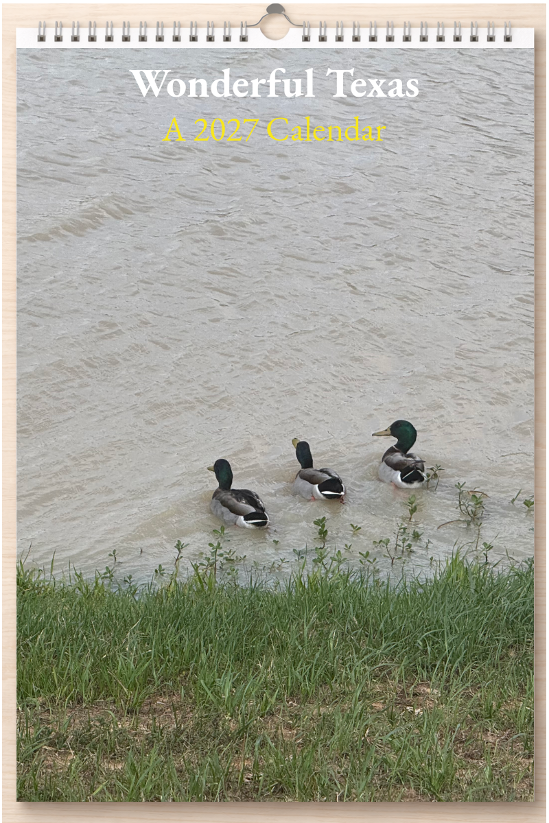 Wonderful Texas: A 2027 Calendar