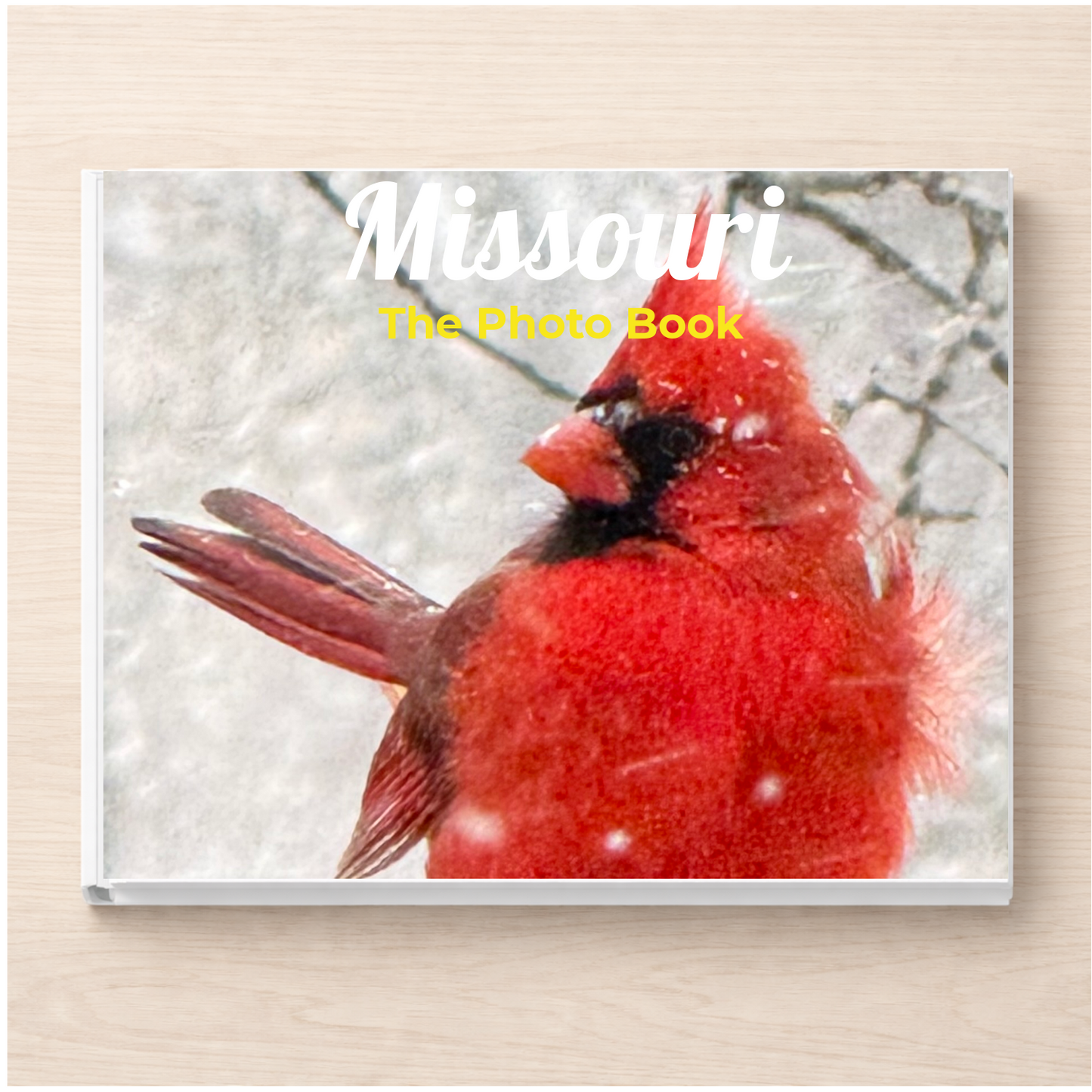Missouri: The Photo Book